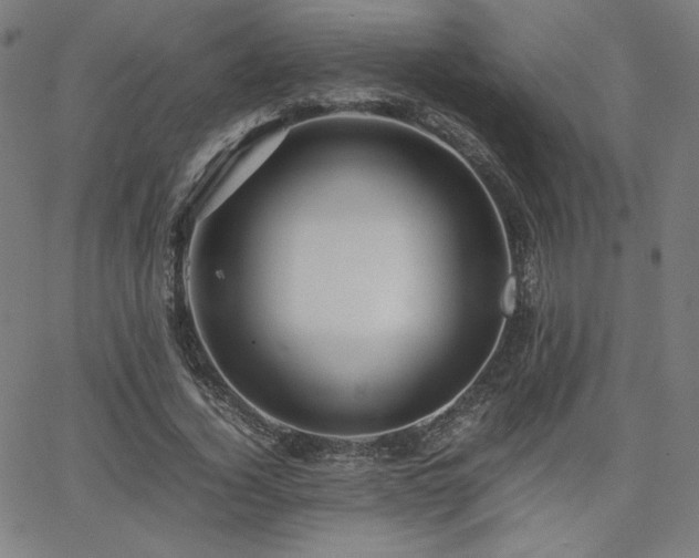 X0000066100732200603101140