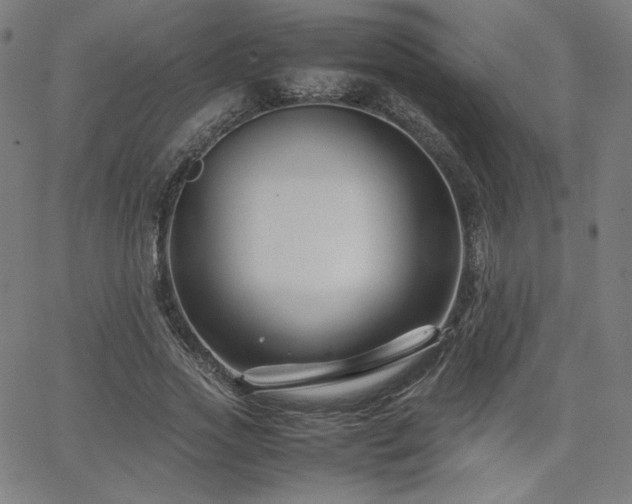 X0000066100733200603101140