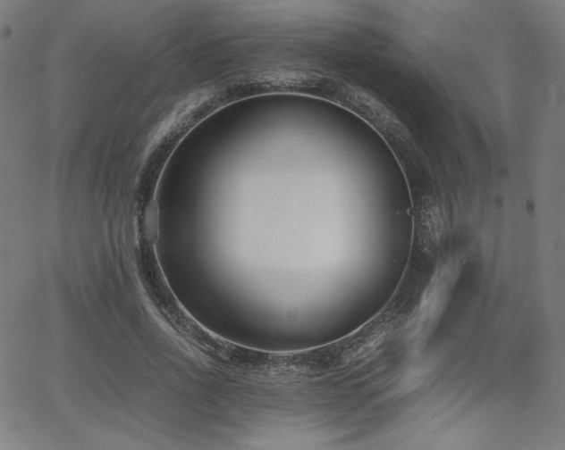 X0000066100734200603101140