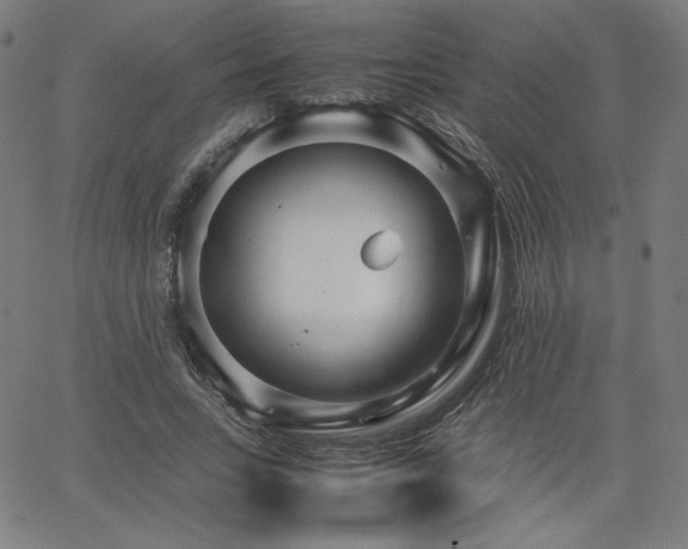 X0000066100735200603101140