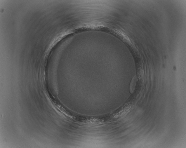 X0000066100736200603101140