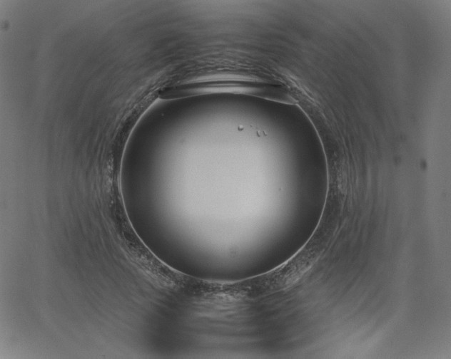 X0000066100737200603101140