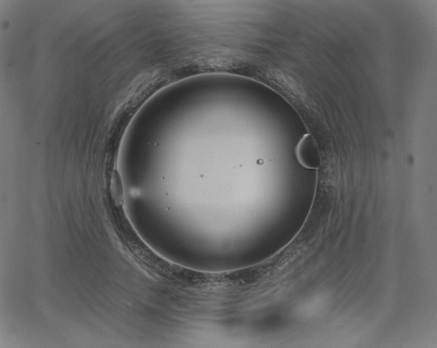 X0000066100738200603101140