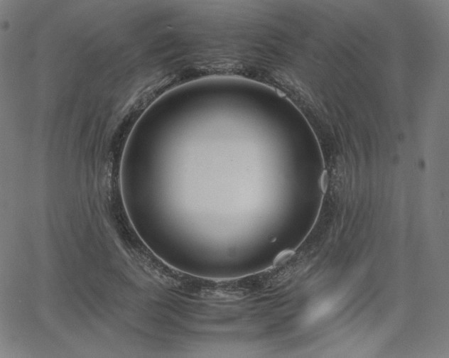 X0000066100739200603101140