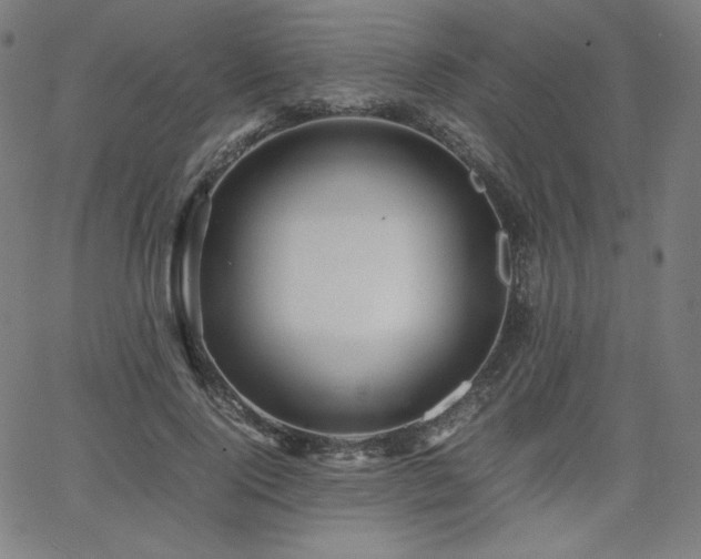 X0000066100740200603101140