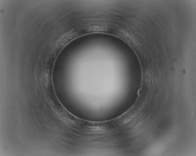 X0000066100741200603101140