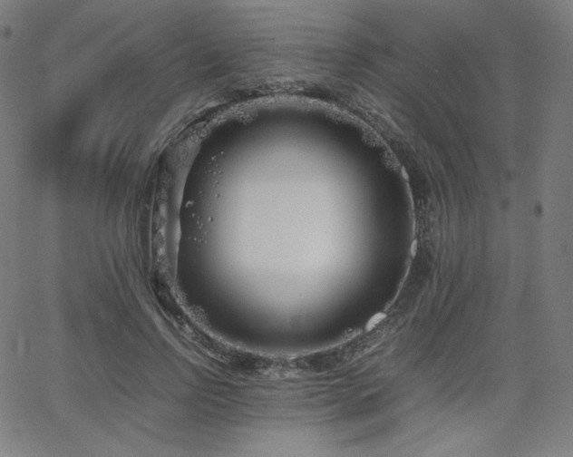 X0000066100742200603101140