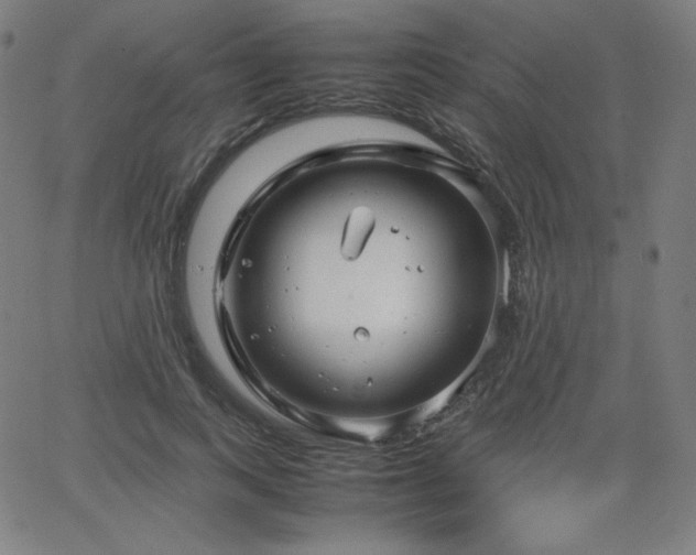 X0000066100743200603101141