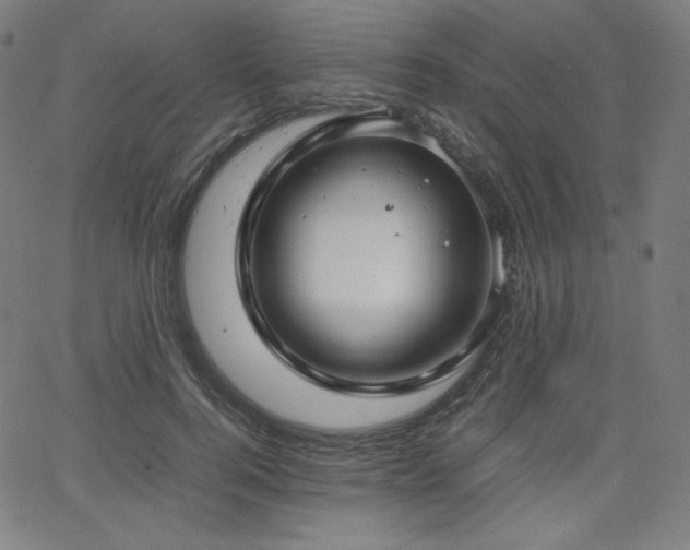 X0000066100744200603101141