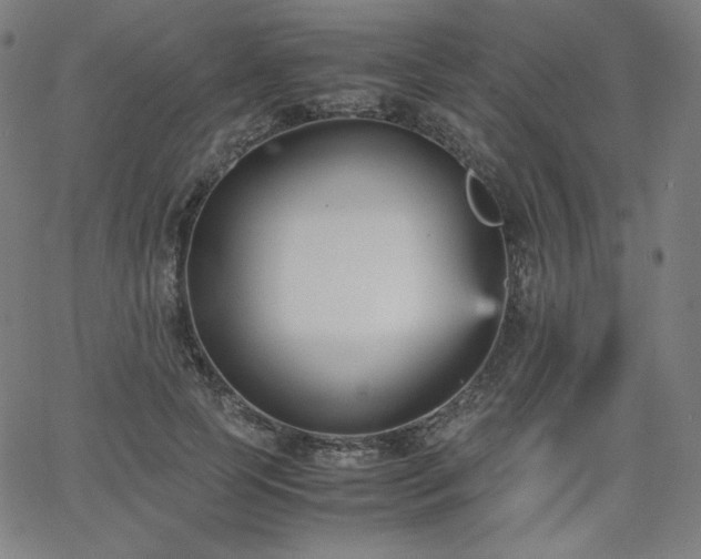 X0000066100745200603101141