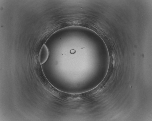 X0000066100747200603101141