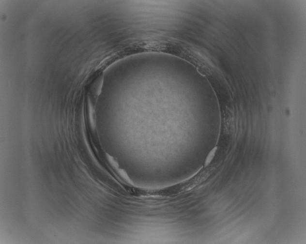 X0000066100748200603101141