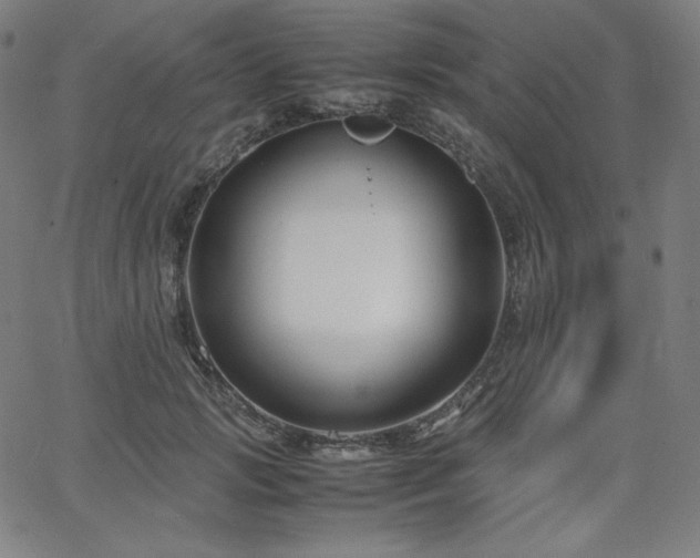 X0000066100749200603101141