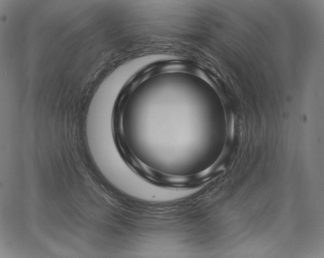 X0000066100750200603101141