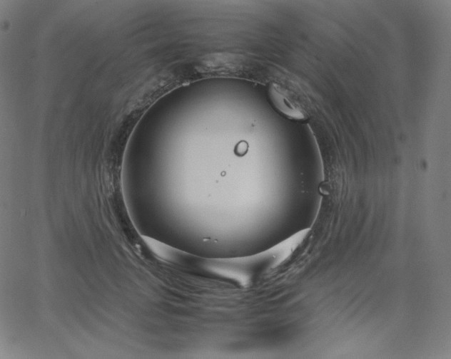 X0000066100751200603101141