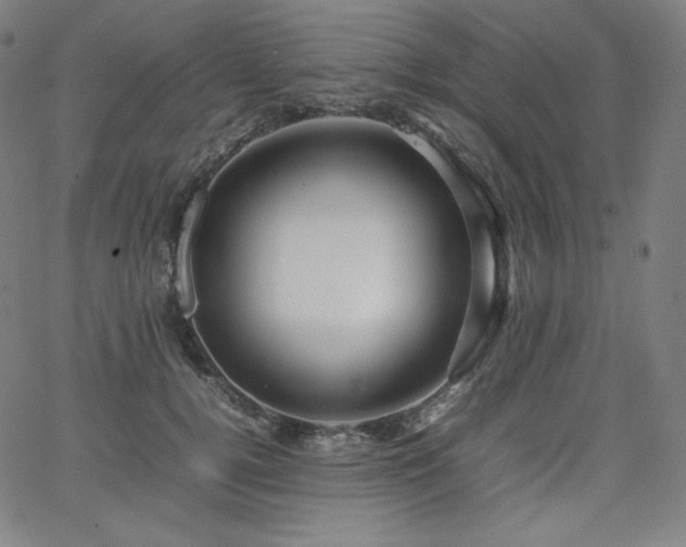 X0000066100752200603101141