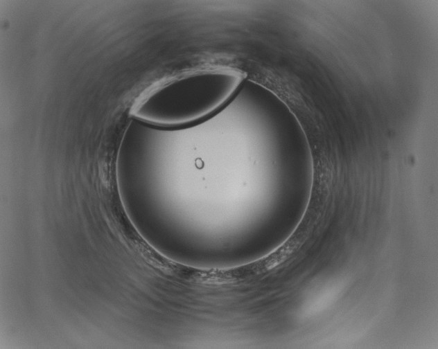 X0000066100755200603101141