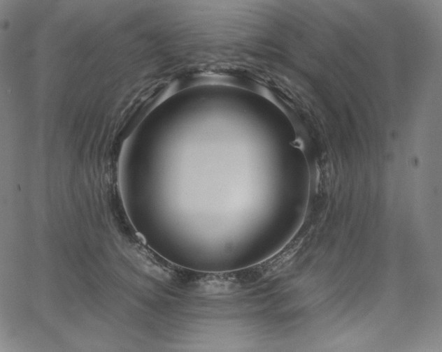 X0000066100756200603101141