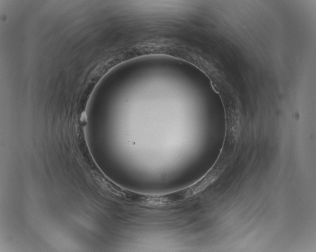 X0000066100758200603101141