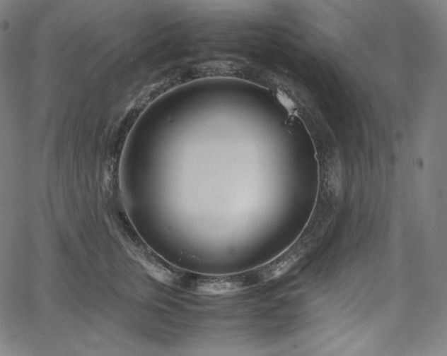 X0000066100759200603101141