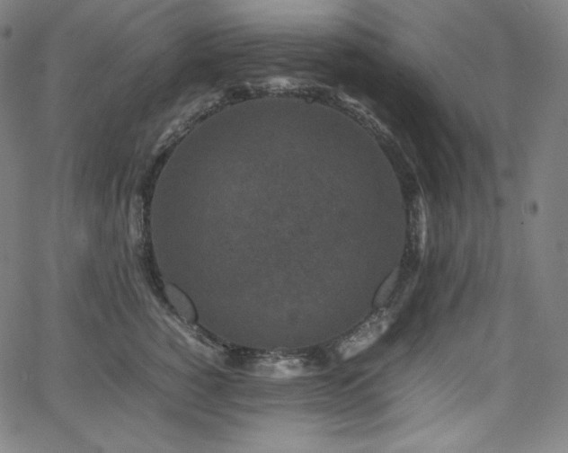 X0000066100760200603101141