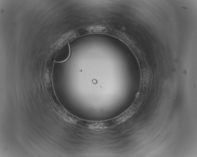 X0000066100761200603101141