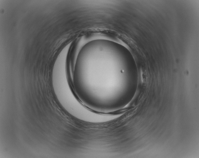 X0000066100762200603101141