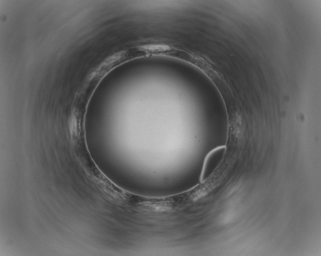 X0000066100763200603101141