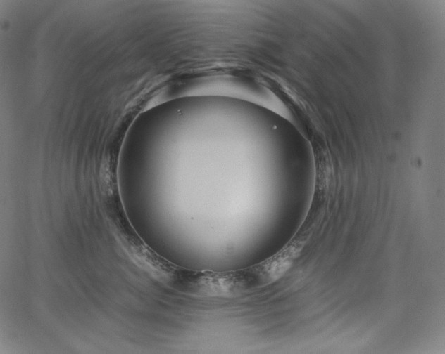 X0000066100764200603101141