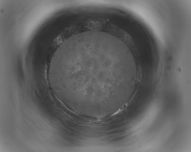 X0000066100765200603101141