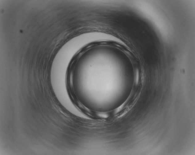 X0000066100766200603101141