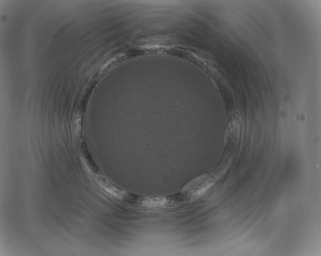 X0000066100767200603101141