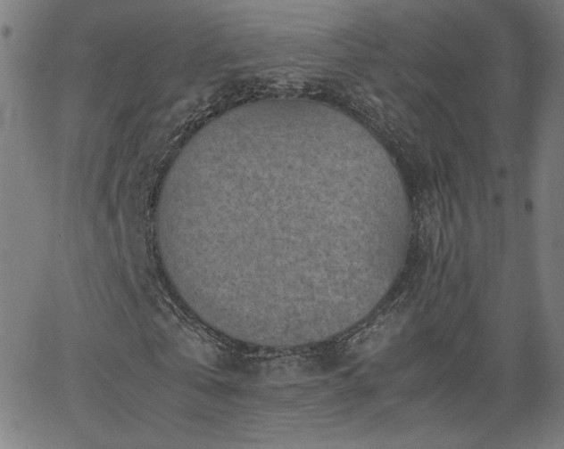 X0000066100769200603101140