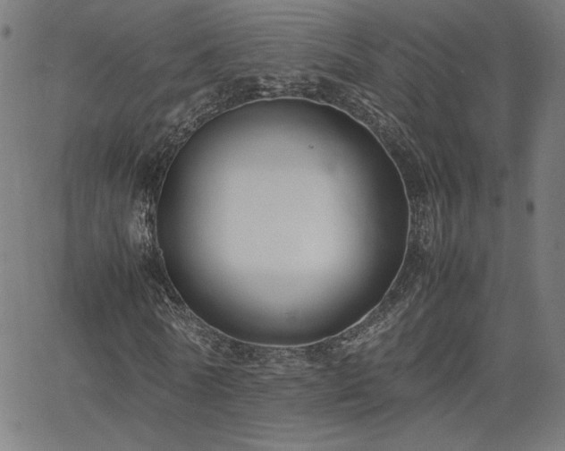 X0000066100770200603101140