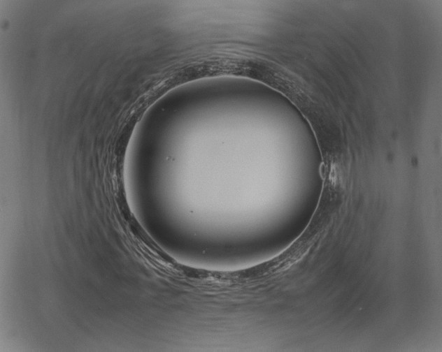 X0000066100771200603101140