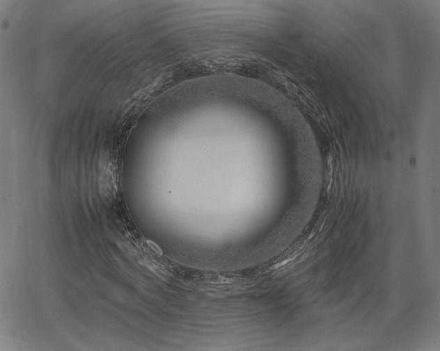 X0000066100772200603101140