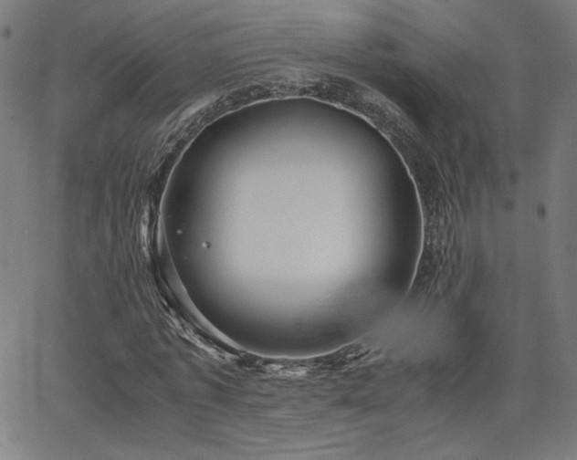 X0000066100773200603101140