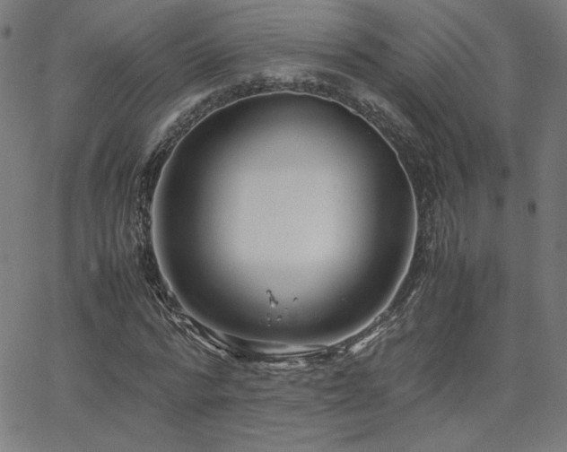 X0000066100776200603101140