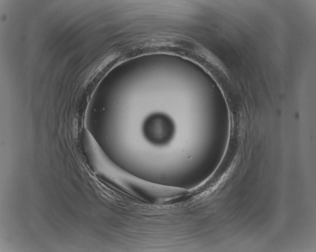 X0000066100777200603101140