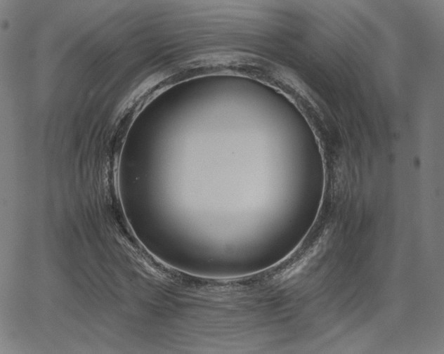 X0000066100778200603101140