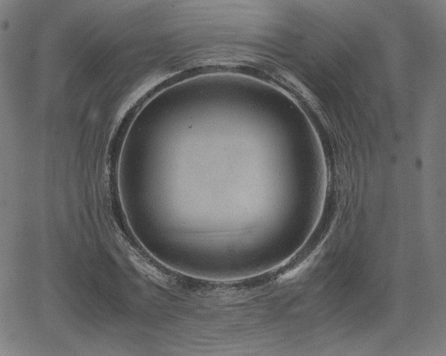 X0000066100779200603101140