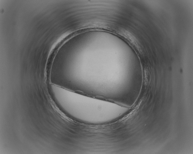 X0000066100780200603101140