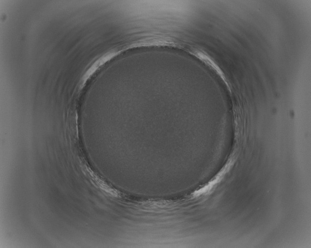 X0000066100781200603101140