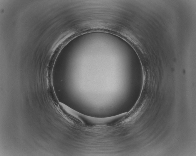 X0000066100782200603101140