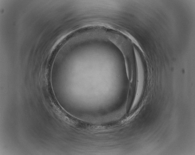 X0000066100783200603101140