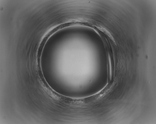 X0000066100784200603101140