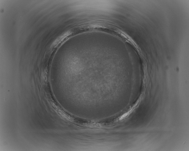 X0000066100785200603101140