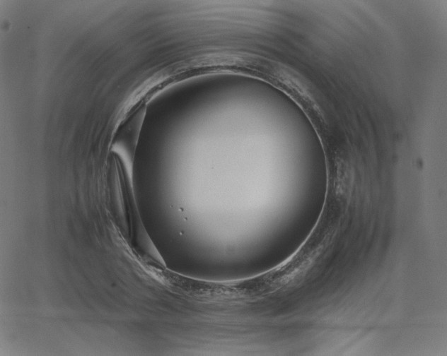 X0000066100786200603101140