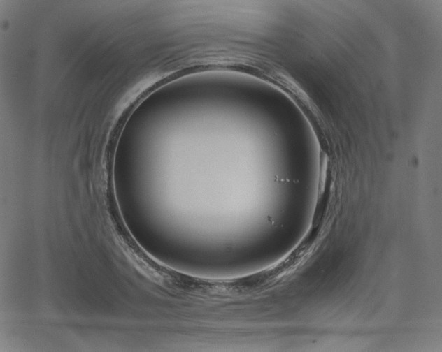 X0000066100787200603101140