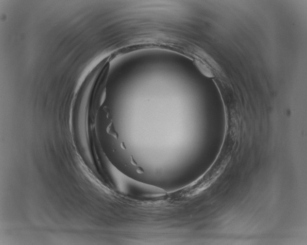 X0000066100788200603101140